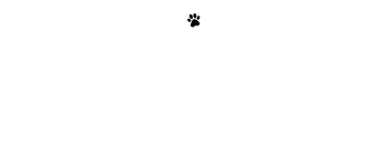 Juniore Afiações